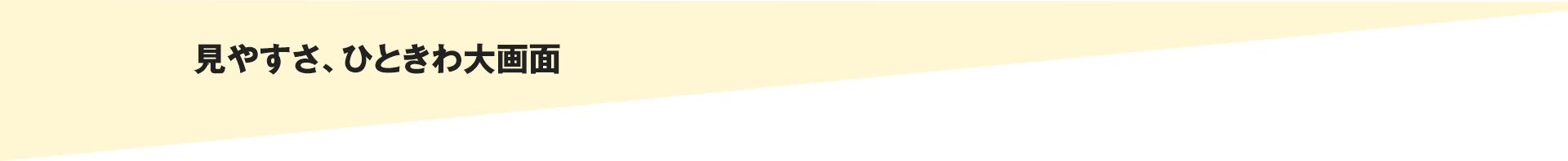 見やすさ、ひときわ大画面